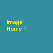 Traditional Designs